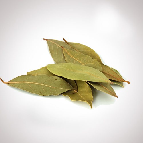 Bay Leaf