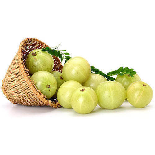 Gooseberry