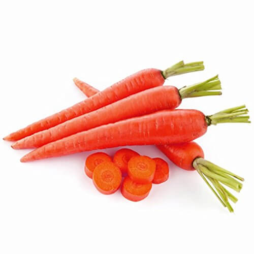 Ooty Carrot