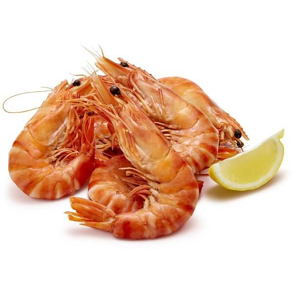 Prawns