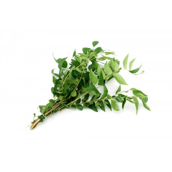 Curry Leaves